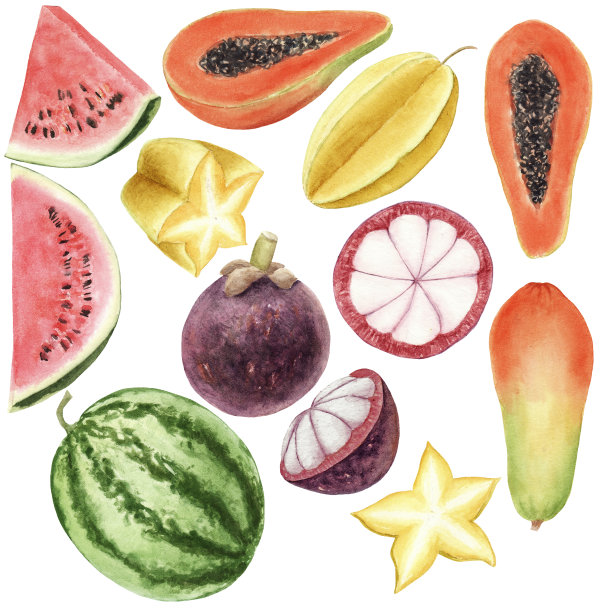 水彩热带水果孤立在白色的背景图片下载