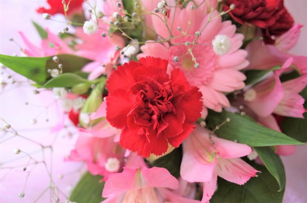 美丽的粉红色的花。束了图片下载