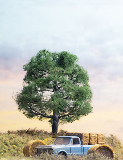 橡树下的灰蓝色卡车图片下载