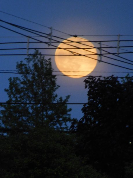 蓝色的天空中出现了巨大的蓝色月亮图片下载