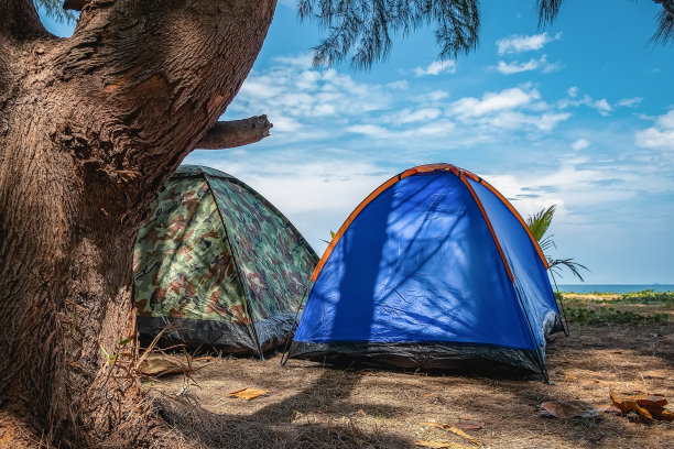各种帐篷露营色彩各异，在海边露营，在沙滩上露营，气氛很好。图片下载