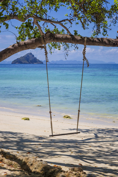 在泰国菲菲岛Laemtong海滩的树枝上荡秋千图片下载