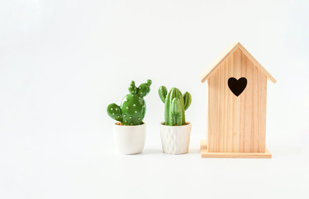 物体，自然木制小屋和小型陶瓷仙人掌绿色植物和白色盆栽放在白色背景上隔离，家居装饰或家庭理财理念图片下载