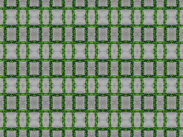 水泥墙里的绿叶图片下载