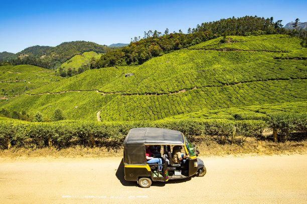 一辆机动三轮车(Tuc Tuc或Tuk Tuk)载着游客在穆纳尔山旅行。背景是美丽的绿茶种植园。印度蒙。图片下载
