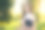 年轻女老师拿着写字板在外面。公园里的现代教师。戴眼镜的女人图片下载