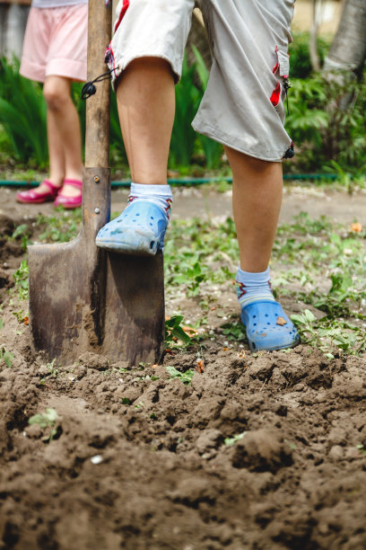 那个男孩正在用一把大铁锹挖菜园。帮助成人和工作的概念，从童年开始图片下载