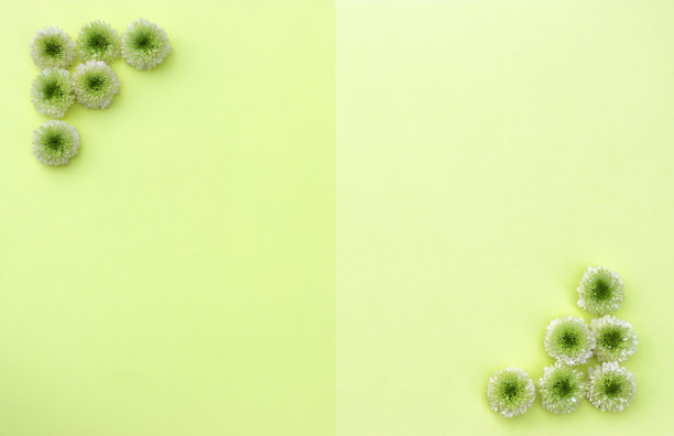 漂亮的背景图片下载