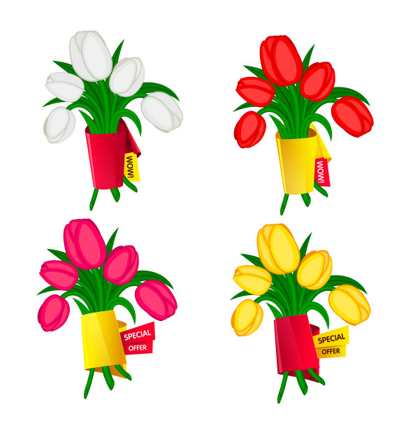 矢量集春天的花朵郁金香与白色背景上孤立的文本横幅图片下载