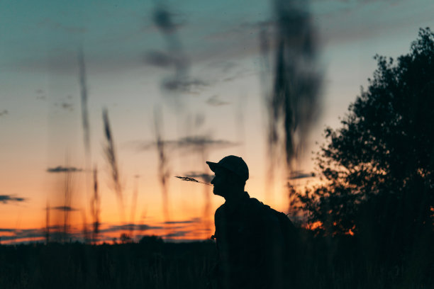 享受日落。轮廓图片下载