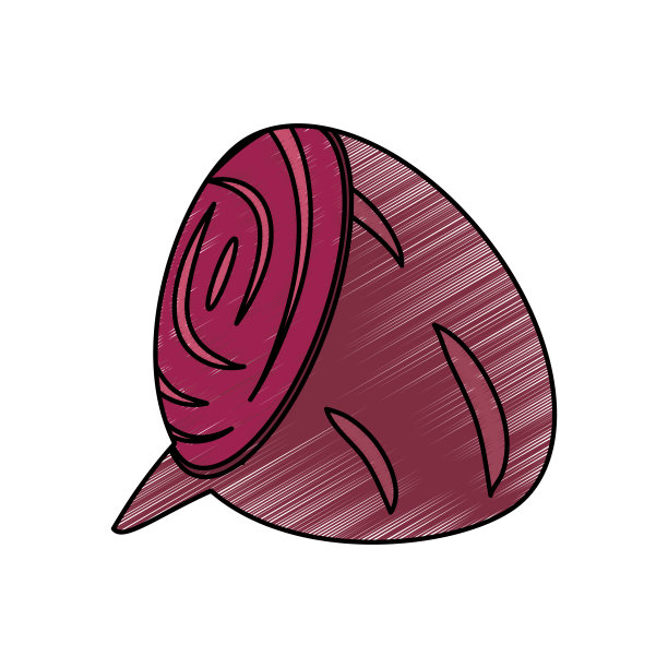 绘制甜菜根食品营养图片下载