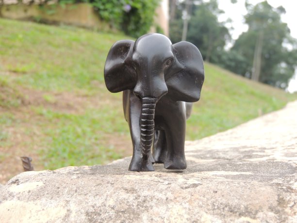 玩具大象图片下载