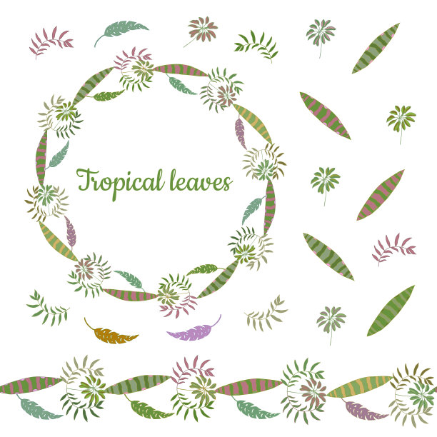 由热带植物的不同叶子制成的花圈。无尽的横刷。无缝水平边界。图片下载