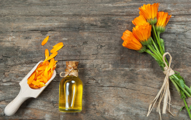 装有金盏花精油的玻璃瓶放在木桌上图片下载