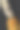 新鲜有机玉米。新鲜市场上的甜玉米图片下载