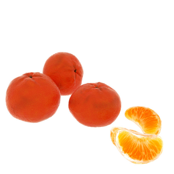 3d渲染的普通话图片下载