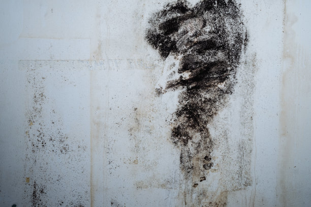 霉菌墙的特写图片下载
