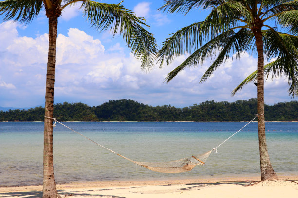 两棵棕榈树和一个吊床在海滩上-马来西亚盖亚岛亚洲图片下载