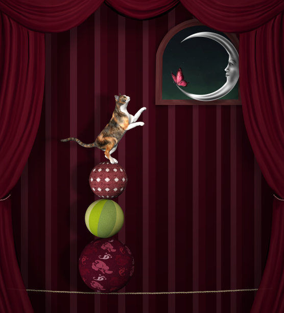 追逐你的梦想图片下载