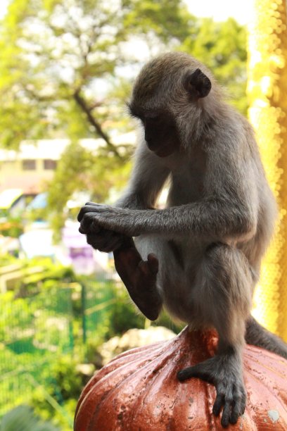 清洁的腿图片下载