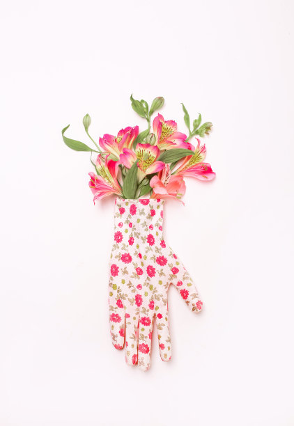 鸢尾花连指手套装饰花园白色图片下载