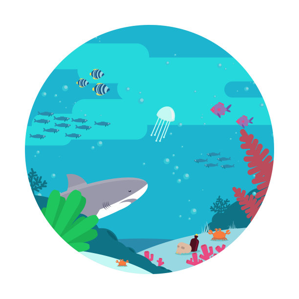 水下植物区系、动物区系平面矢量插图图片下载