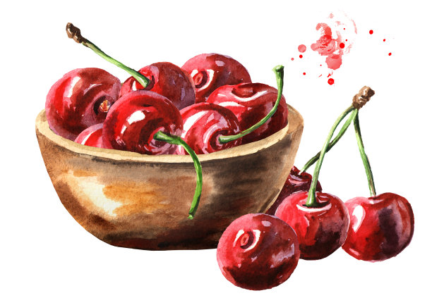 碗里放熟樱桃。水彩手绘插图，孤立的白色背景图片下载