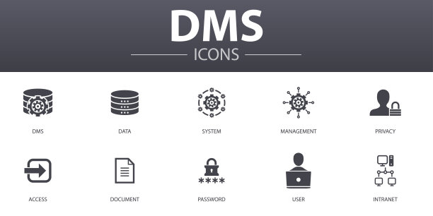 DMS简单概念图标集。包含系统、管理、隐私、密码等图标，可用于网站、logo、UI/UX图片下载