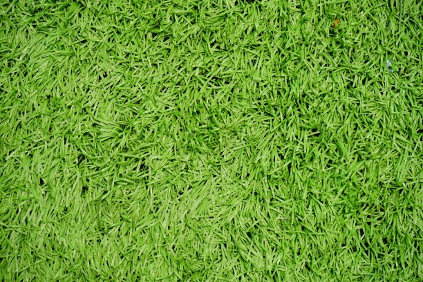 足球场图片下载