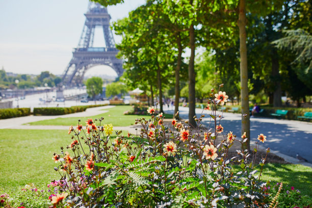 夏日的埃菲尔铁塔和盛开的鲜花图片下载