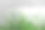 清晨的露珠落在绿色的草叶上图片下载