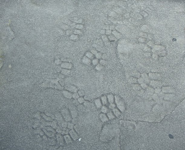 水泥的足迹图片下载