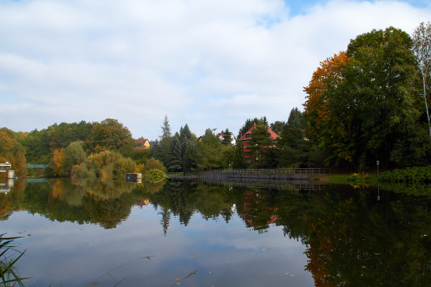 绿色的森林和河流。森林湖。这条河在树林中流过。美丽的自然景色。绿色森林景观照片。森林自然在一个晴朗的日子。德国美丽的自然风光。图片下载