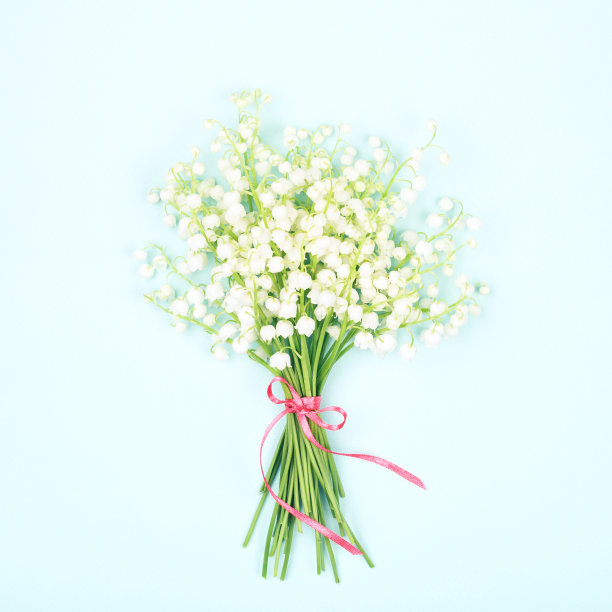 蓝色背景上的铃兰花束。图片下载