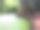 野鸭草，蚊蕨覆盖在丛林的河流上。图片下载