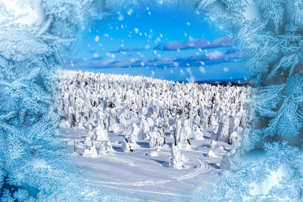 玻璃上的霜冻图案和被雪覆盖的树木图片下载