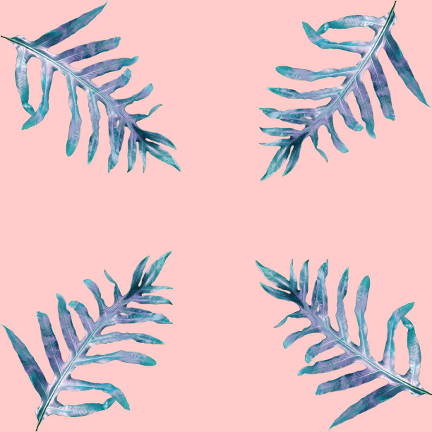 夏季花，热带绿叶概念。棕榈叶孤立在粉红色的背景上。可以用来显示或输入文本和蒙太奇任何你。图片下载