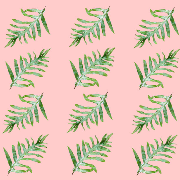 夏季花，热带绿叶概念。棕榈叶孤立在粉红色的背景上。可以用来显示或输入文本和蒙太奇任何你。图片下载