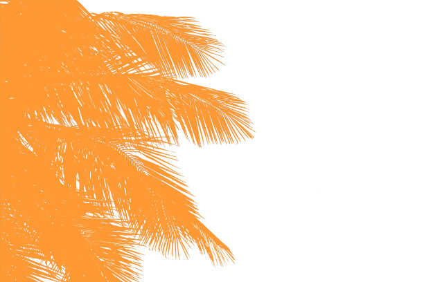 你好夏季花卉与热带绿叶概念。椰子叶孤立在粉红色的背景，与修剪路径。可以用来显示或输入文本和蒙太奇任何你。图片下载