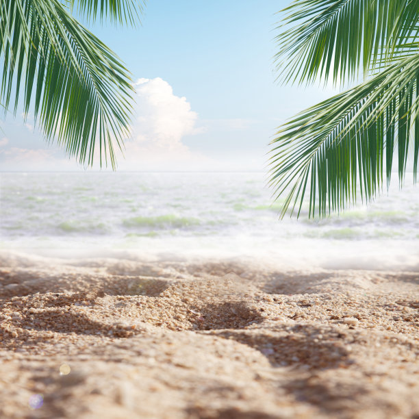 你好夏天，热带沙滩与大海和椰子叶放松时间。快乐和放松的海滩在夏天的概念。图片下载