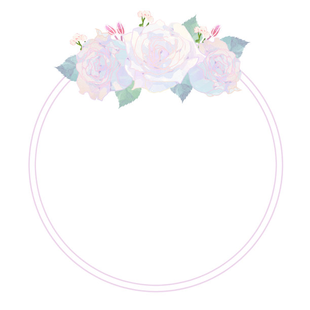 白玫瑰框架向量图片下载