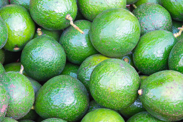 牛油果背景在热带市场图片下载