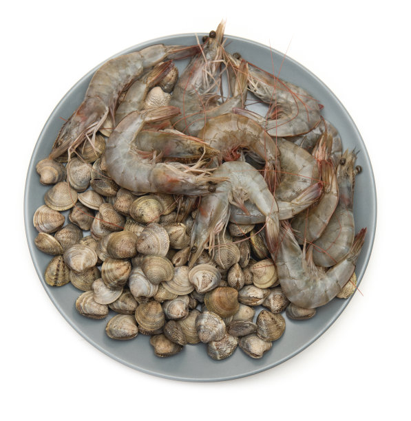白底灰盘生虾及贝壳图片下载