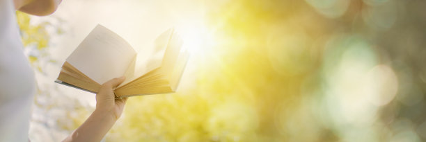 女人手执书卷，以阳光为自由的知识理念为智慧展开，以绿色散景为背景，旗帜风格图片下载