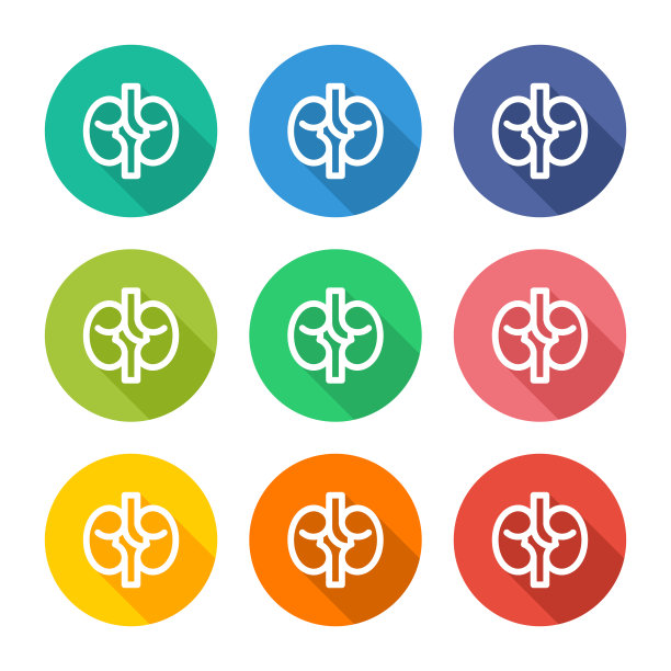 插图图标肾脏器官与几种颜色的替代。图片下载