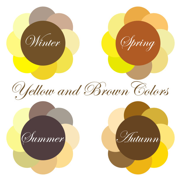 季节性色彩分析调色板，黄色和棕色的颜色为冬季，春季，夏季，秋季图片下载