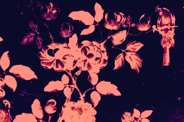 美丽的树，鸟和花艺术绘画颜色粉红色，白色和黑色插图图案背景和壁纸图片下载