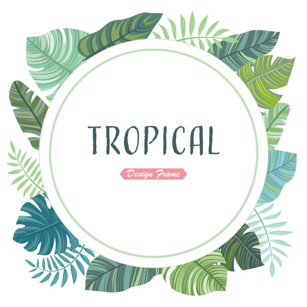 圆形框架与热带树叶。图片下载