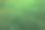 私家花园前院美景。绿色的草坪图片下载