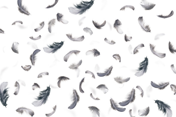 羽毛抽象背景图片下载